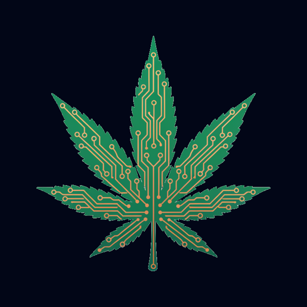 Logotipo canna-br: folha de cannabis com veias em traço de circuito dourado sobre fundo escuro